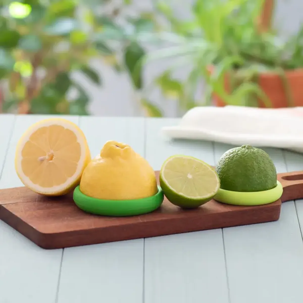 Citrus Savers Set of 2 / Food Huggers
