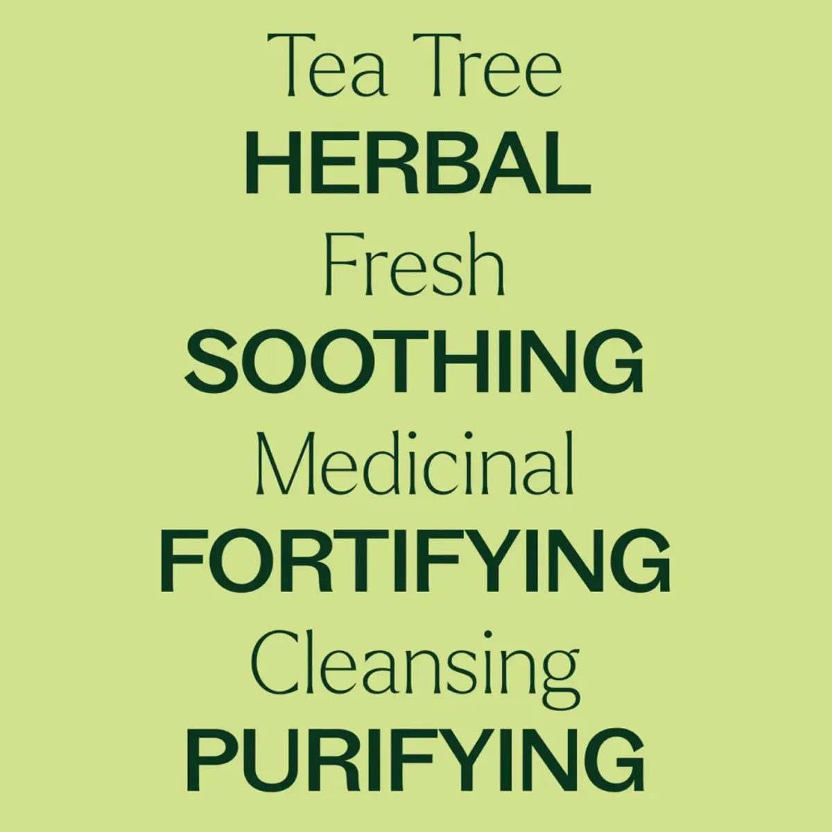 Tea Tree eterisk olje, 10ml, økologisk / Plant Therapy