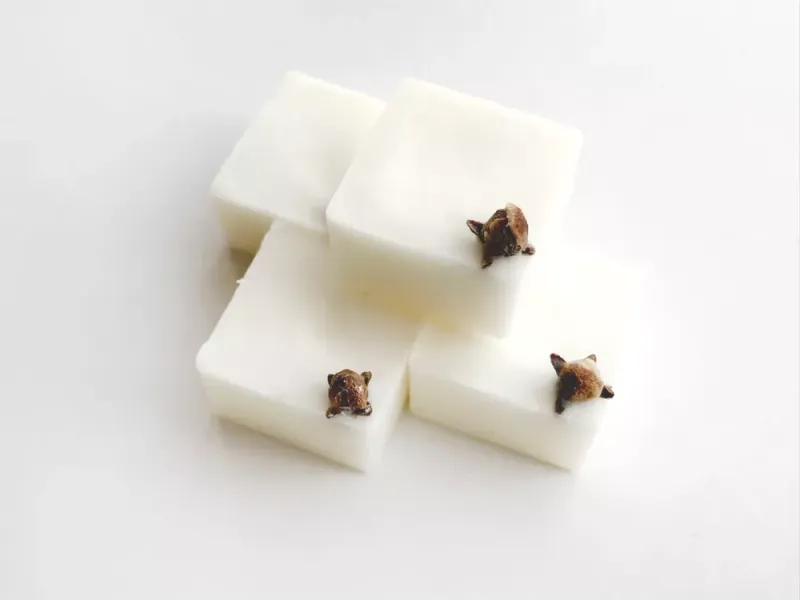 4  Wax Melts - Patchouli & Sweet Orange / Lost + Fond