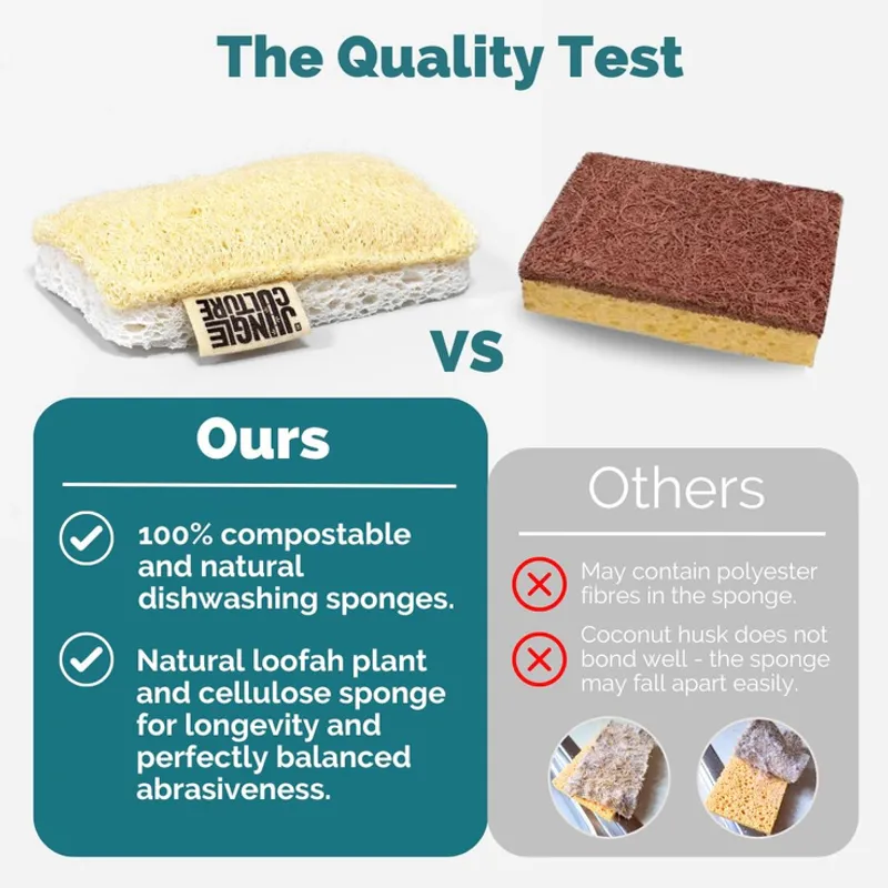 4pk Eco Dish Sponges / Jungle Culture