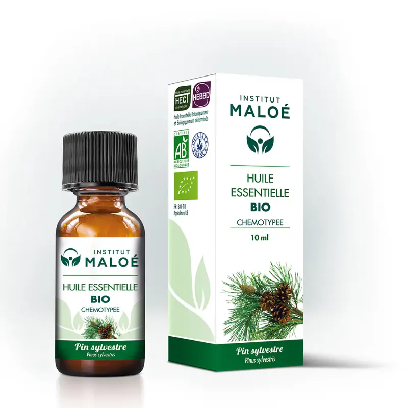 Skotsk furu eterisk olje, økologisk – 10 ml | Institut Maloe