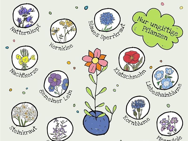 Snowman - hvite blomsterkuler / Die Stadtgärtner