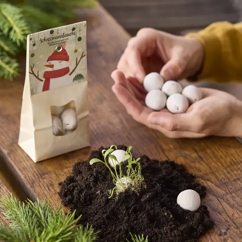 Snowman - hvite blomsterkuler / Die Stadtgärtner