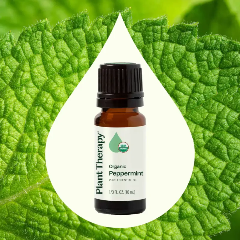 Peppermynte, økologisk eterisk olje 10ml / Plant Therapy
