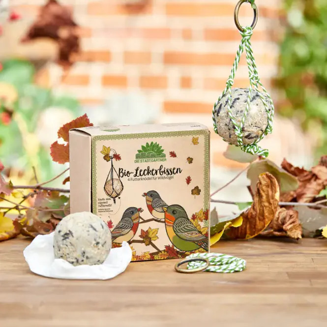 Hovedbilde 4 stk meiseboller med frø, plastfri / Die Stadtgärtner