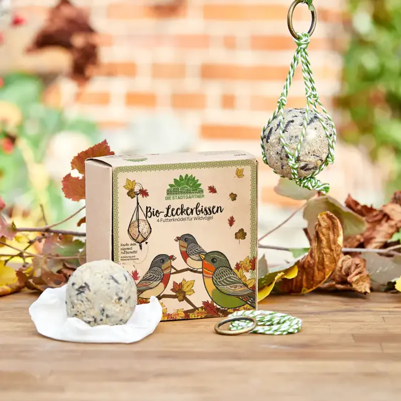 4 stk meiseboller med frø, plastfri / Die Stadtgärtner