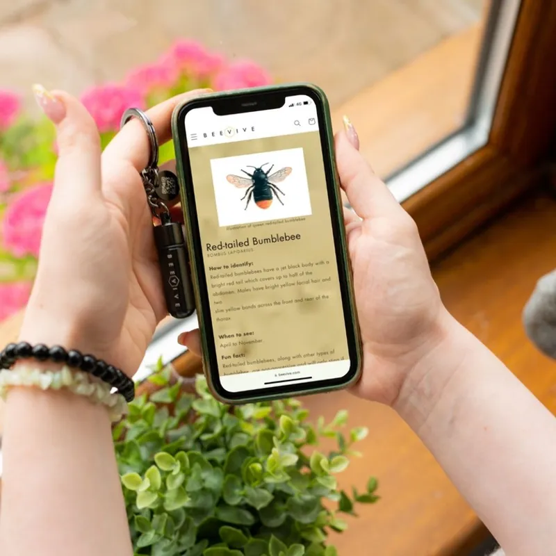 Bee Revival Kit Bee Id Tag - Rose Gold / BEEVIVE