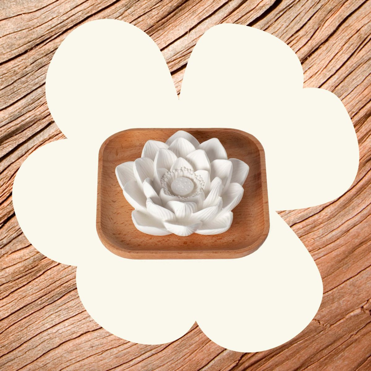 Lotus Passiv Diffuser / Plant Therapy