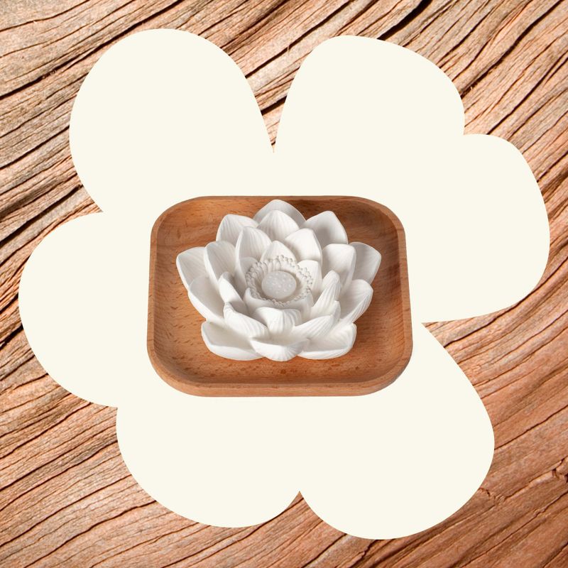 Lotus Passiv Diffuser / Plant Therapy
