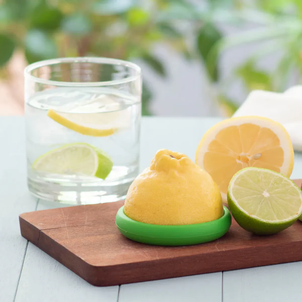 Citrus Savers Set of 2 / Food Huggers
