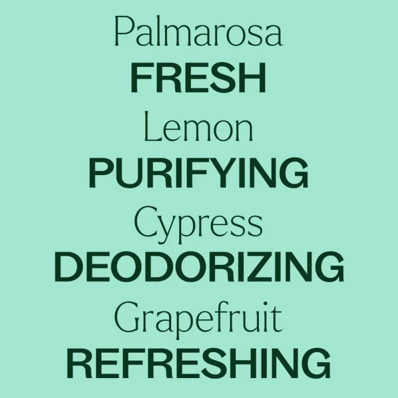 Deodorizing Powder 453g / Plant Therapy