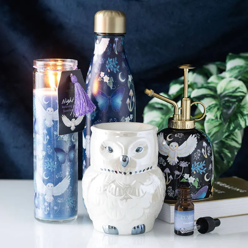 Night Flight Owl Print Water Bottle 500 ml, Something Different